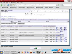 從Weberp到Linux伊甸園 探索ERP系統(tǒng)的開(kāi)發(fā)與演進(jìn)
